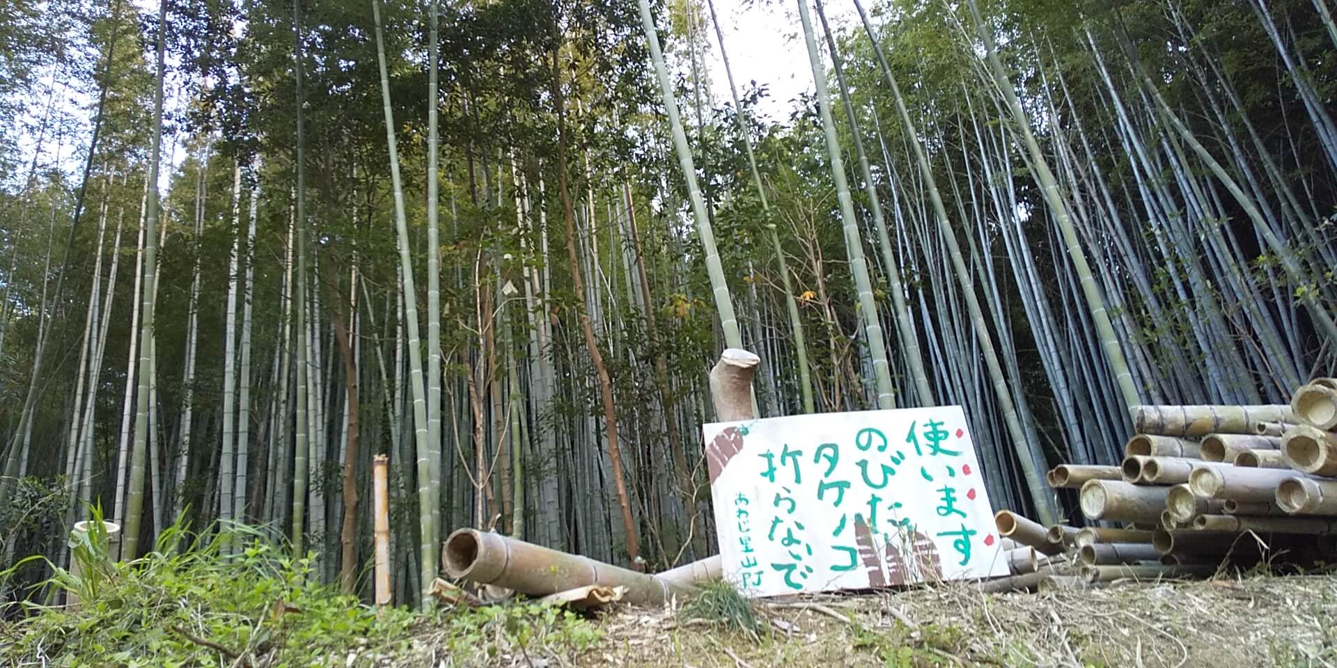 プロジェクト バンカランカ 洲本のおもろい数珠つなぎ