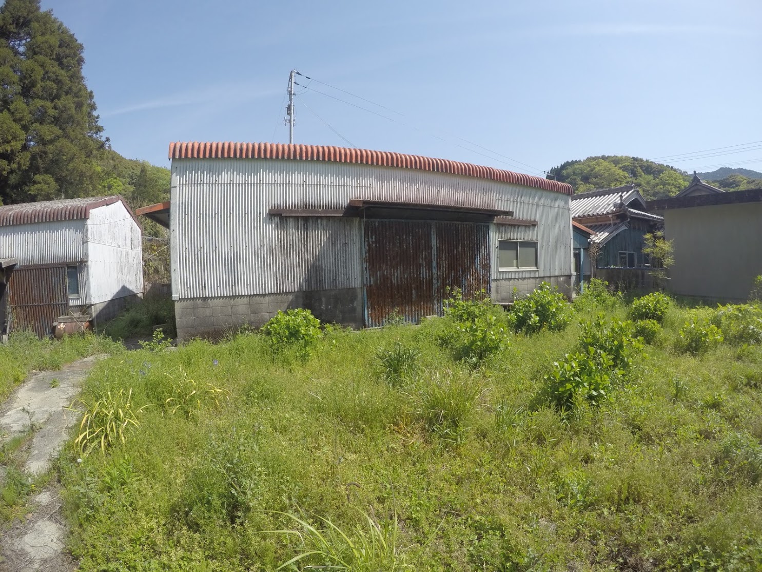 プロジェクト バンカランカ 洲本のおもろい数珠つなぎ